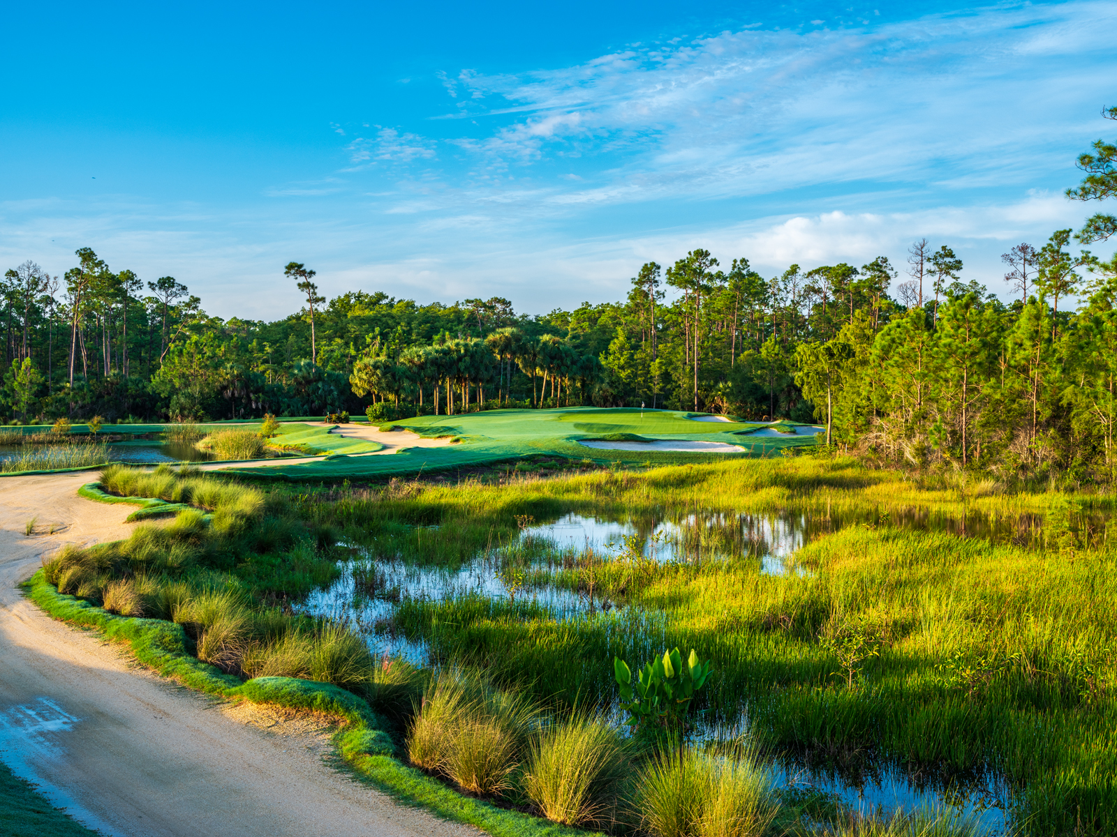 NAPLES LAKES CC