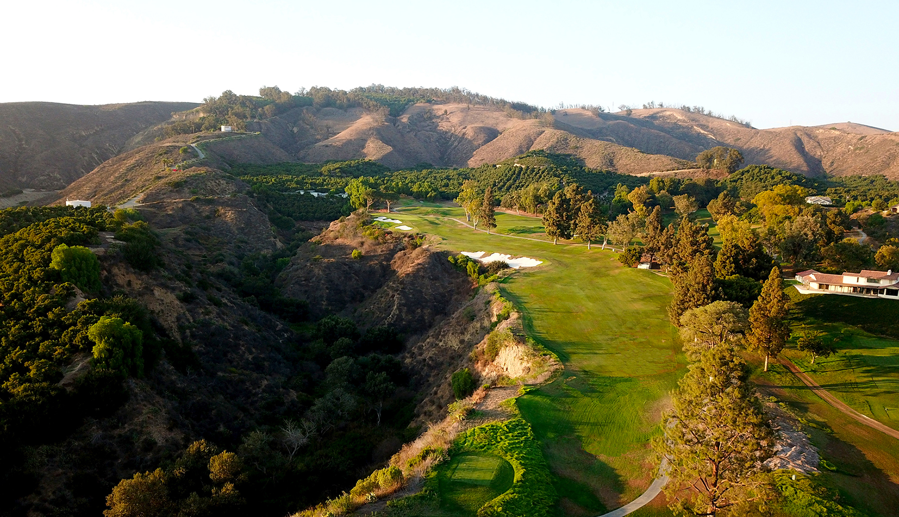 Saticoy 14