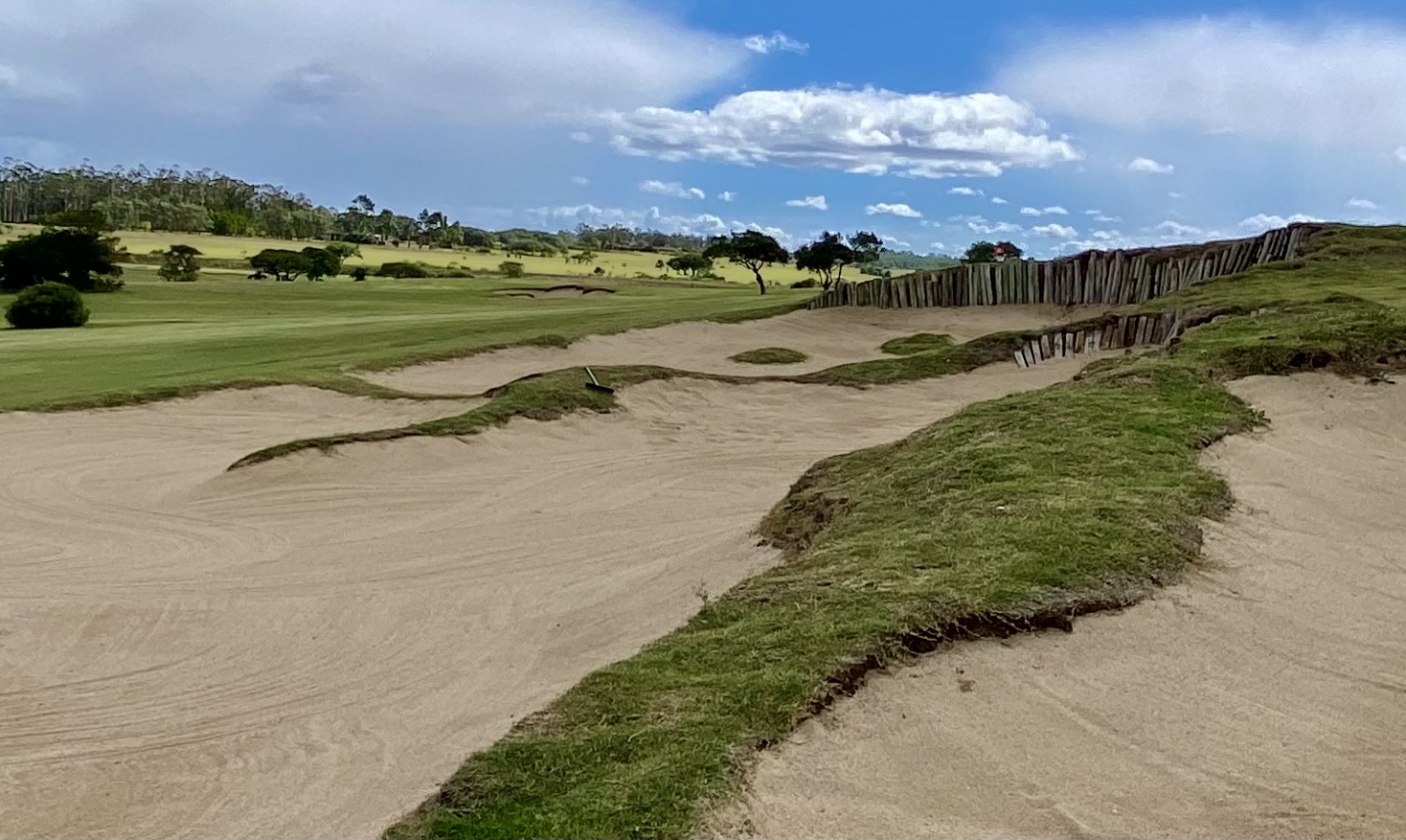 unique bunkers